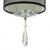 Потолочный светильник Arti Lampadari Rufina E 1.3.P1 N