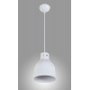Подвесной светильник Arti Lampadari Colata E 1.3.P1 W