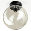 Citilux ORTON CL202511 Светильник Дымчатый