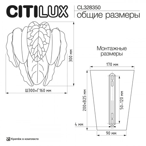 Citilux HASIENDA CL328350 Бра