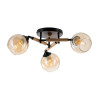 Citilux TIKA CL133131 Люстра поворотная Чёрная