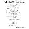 Citilux TONGA CL212193 Люстра на штанге Бронза