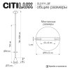 Citilux DUZA CL51711_BF Подвесной светильник Чёрный