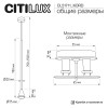 Citilux SkyPORT.10 DUZA CL51711_KORD Подвесной встраиваемый светильник Чёрный