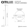 Citilux TUBU CL51512V_BF LED Подвесной светильник Латунь