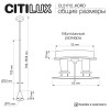 Citilux SkyPORT.10 DUZA CL51712_KORD Подвесной встраиваемый светильник Латунь