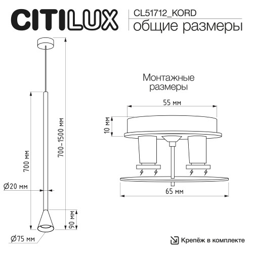 Citilux SkyPORT.10 DUZA CL51712_KORD Подвесной встраиваемый светильник Латунь