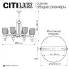 Citilux CARSON CL255183 Люстра подвесная