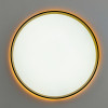 Citilux ETALON CL750401R LED RGB Светильник с пультом Чёрный+Золото