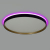 Citilux ETALON CL750501R LED RGB Светильник с пультом Чёрный+Золото