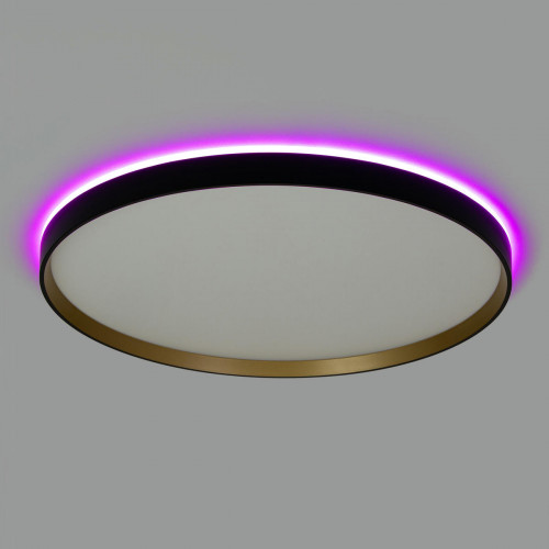 Citilux ETALON CL750501R LED RGB Светильник с пультом Чёрный+Золото