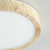 Citilux Бейсик CL738122N LED Светильник накладной Клён
