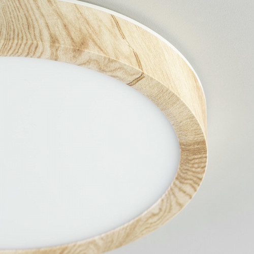 Citilux Бейсик CL738122N LED Светильник накладной Клён