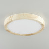 Citilux Бейсик CL738122N LED Светильник накладной Клён