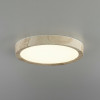 Citilux Бейсик CL738122N LED Светильник накладной Клён