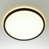 Citilux NORMA CL749321 LED RGB Светильник с пультом Чёрный