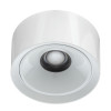 Citilux ROVER CL743060N LED Накладной светильник Белый