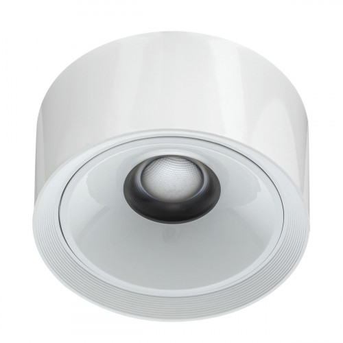 Citilux ROVER CL743060N LED Накладной светильник Белый