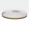 Citilux ETALON CL750500R LED RGB Светильник с пультом Белый+Бук