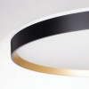 Citilux ETALON CL750501R LED RGB Светильник с пультом Чёрный+Золото