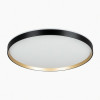 Citilux ETALON CL750501R LED RGB Светильник с пультом Чёрный+Золото