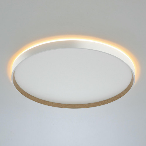 Citilux ETALON CL750500R LED RGB Светильник с пультом Белый+Бук