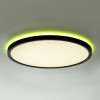 Citilux NORMA CL749321 LED RGB Светильник с пультом Чёрный