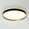 Citilux ETALON CL750401R LED RGB Светильник с пультом Чёрный+Золото