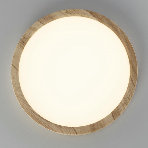 Citilux Бейсик CL738182V LED Светильник накладной Клён