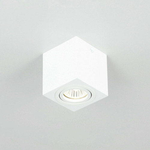 Citilux Дюрен CL538211 Светильник накладной поворотный Белый