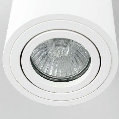 Citilux Дюрен CL538111 Светильник накладной поворотный Белый