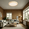 Citilux Бейсик CL738182V LED Светильник накладной Клён