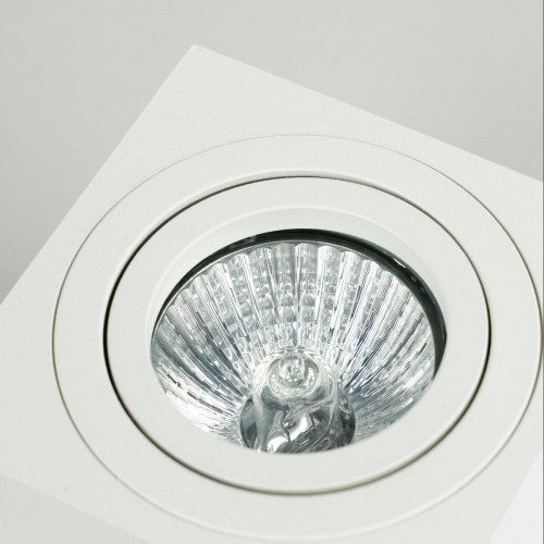 Citilux Дюрен CL538211 Светильник накладной поворотный Белый