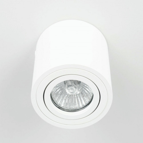 Citilux Дюрен CL538111 Светильник накладной поворотный Белый