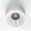 Citilux ROVER CL743090N LED Накладной светильник Белый