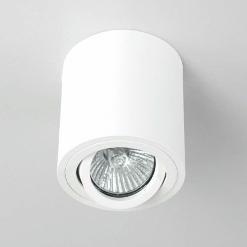 Citilux Дюрен CL538111 Светильник накладной поворотный Белый