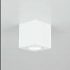 Citilux Дюрен CL538211 Светильник накладной поворотный Белый