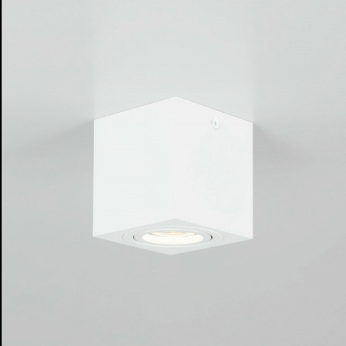 Citilux Дюрен CL538211 Светильник накладной поворотный Белый