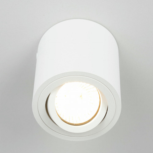 Citilux Дюрен CL538111 Светильник накладной поворотный Белый