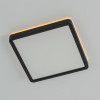 Citilux NORMA CL748K201 LED Светильник с подсветкой Чёрный