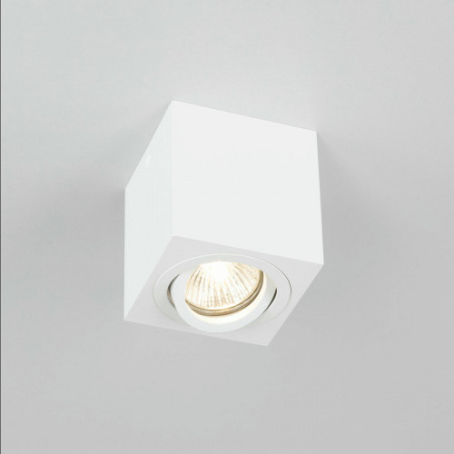 Citilux Дюрен CL538211 Светильник накладной поворотный Белый