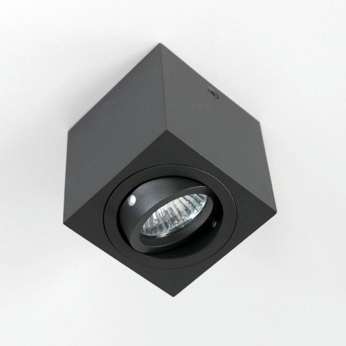 Citilux Дюрен CL538213 Светильник накладной поворотный Чёрный