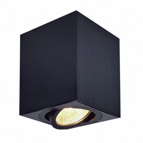 Citilux Дюрен CL538213 Светильник накладной поворотный Чёрный