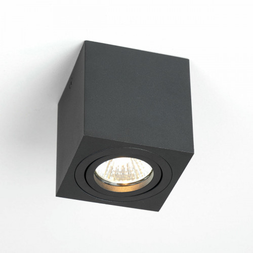 Citilux Дюрен CL538213 Светильник накладной поворотный Чёрный