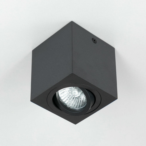 Citilux Дюрен CL538213 Светильник накладной поворотный Чёрный