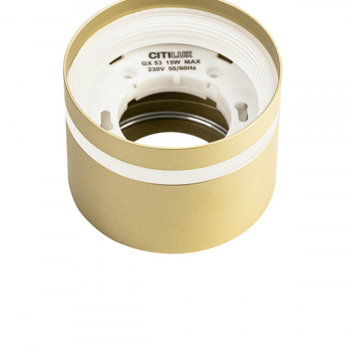 Citilux Hardy CL002C12 Светильник накладной Золото