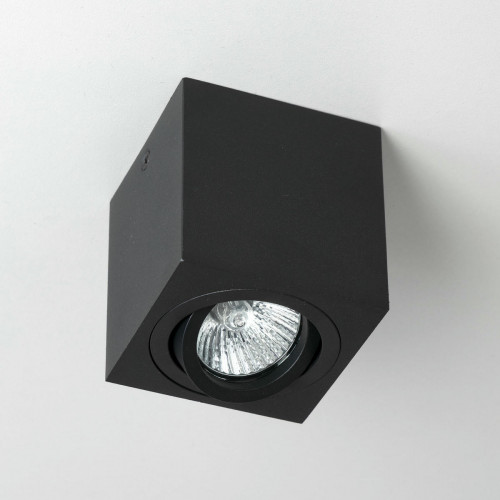 Citilux Дюрен CL538213 Светильник накладной поворотный Чёрный