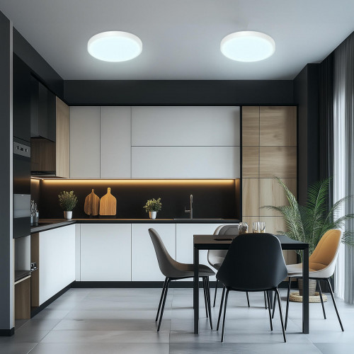 Citilux Бейсик CL738240V Светильник накладной Белый