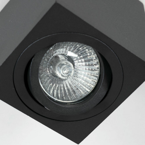 Citilux Дюрен CL538213 Светильник накладной поворотный Чёрный