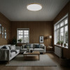 Citilux Бейсик CL738242V LED Светильник накладной Клён